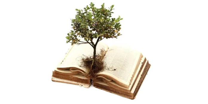 Sapere-saper-fare-saper-essere-le-3-dimensioni-del-sapere